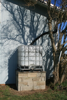 First rainwater tank installed in 2009. Corkscrew willow shadows on the building are cool.
