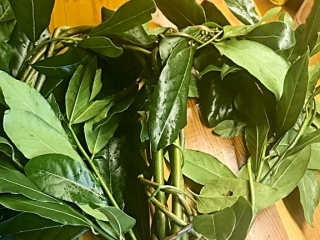 Adding bay leaves to the willow heart wreath