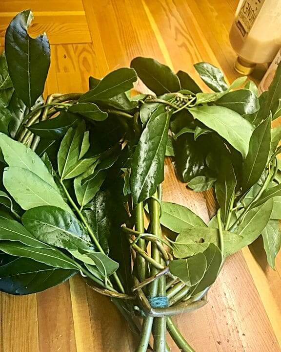 Adding bay leaves to the willow heart wreath