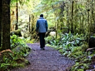 Quiet walk