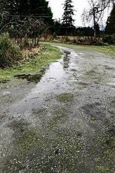 Saturated driveway and rainwater runoff