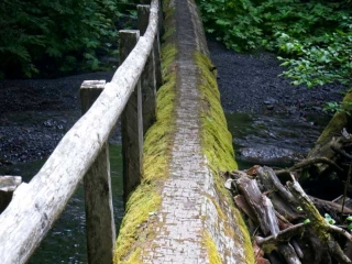 Log bridge