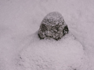 Cold Buddha Cold garden Buddha statue under snow