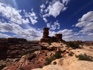Canyonlands-Needles panorama