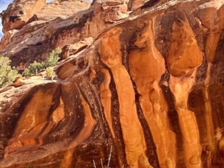 Capitol Reef Rock patterns