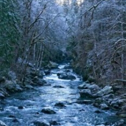 River through winter forest.