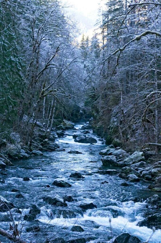 River through winter forest.