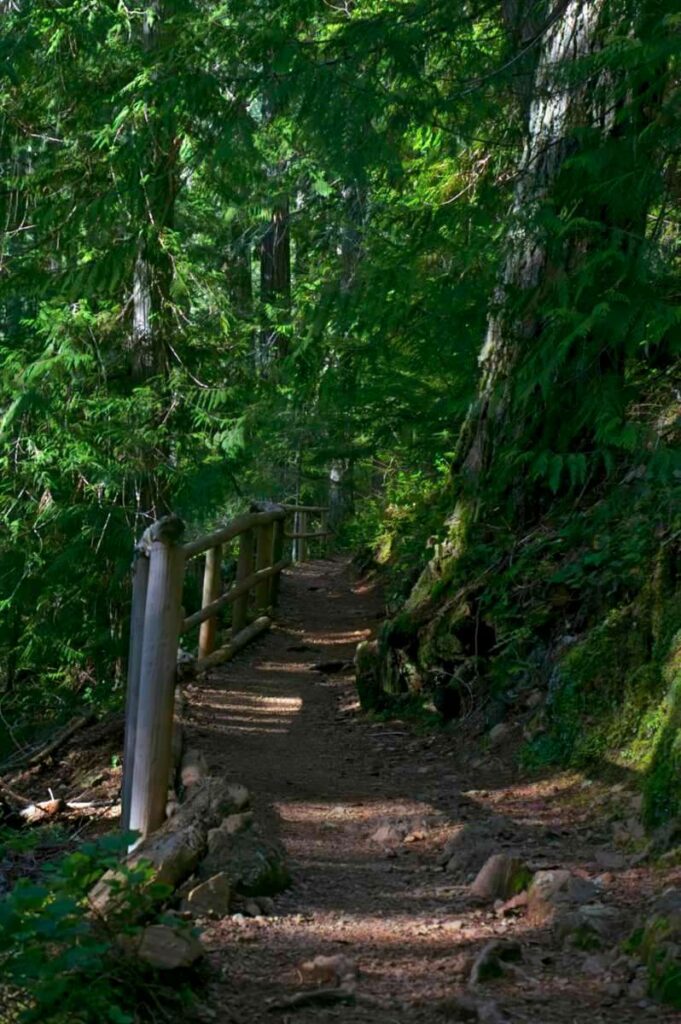 Trail to Lena Lake