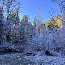 Frosty trees and shrubs along the river