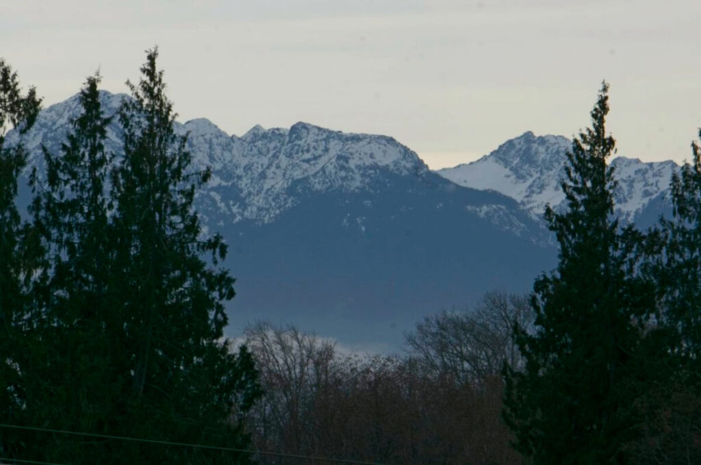 Olympic Mountains-February