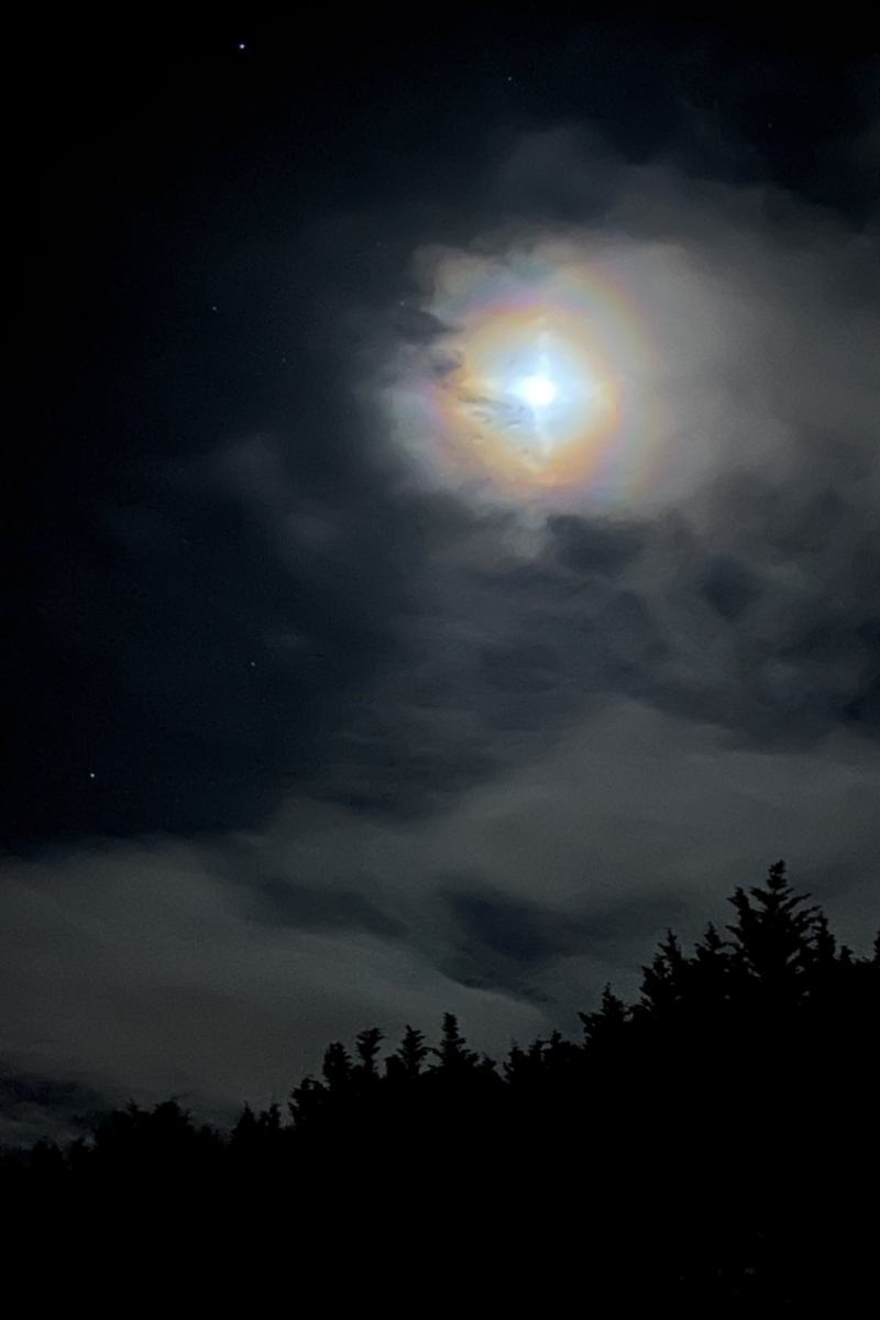 Lunar Eclipse Begins