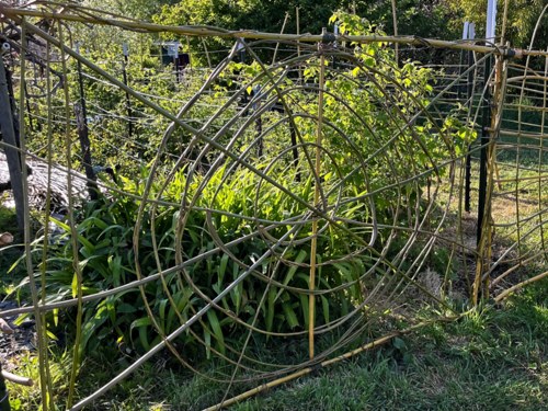 Funky Functional Willow Fence