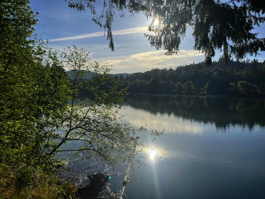 Lake Mayfield in the morning