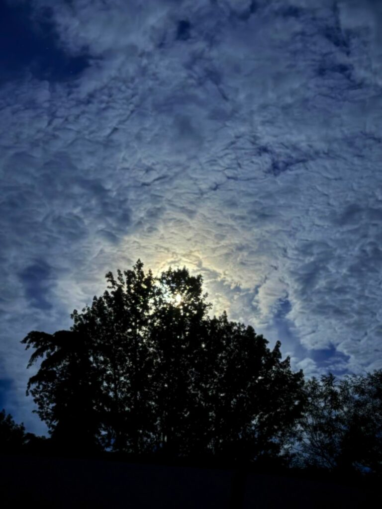 Buck Moon 4:09 am