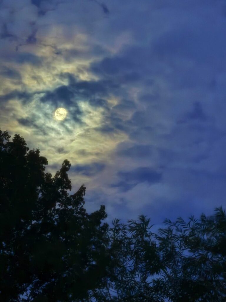 Buck Moon 4:40 am