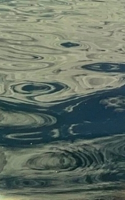 Shifting water and reflection patterns