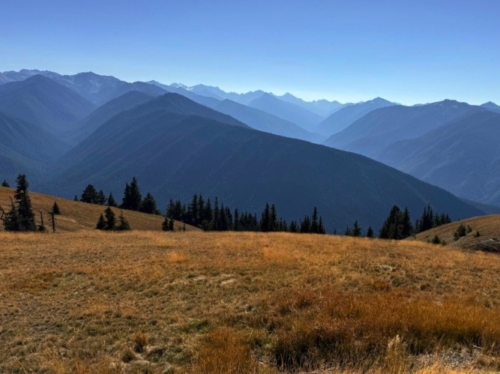 Olympic Mountains seen from Hurricane Ridge, early fall before snow