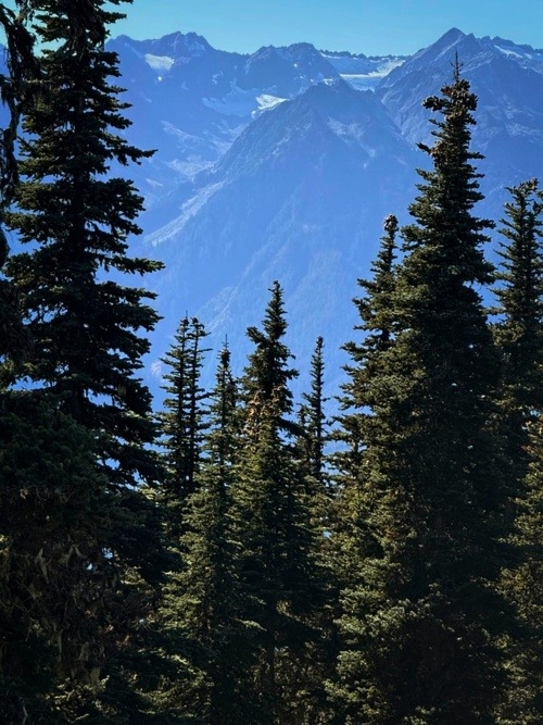 Mount Olympus, early fall before the first snow; evergreens in foreground