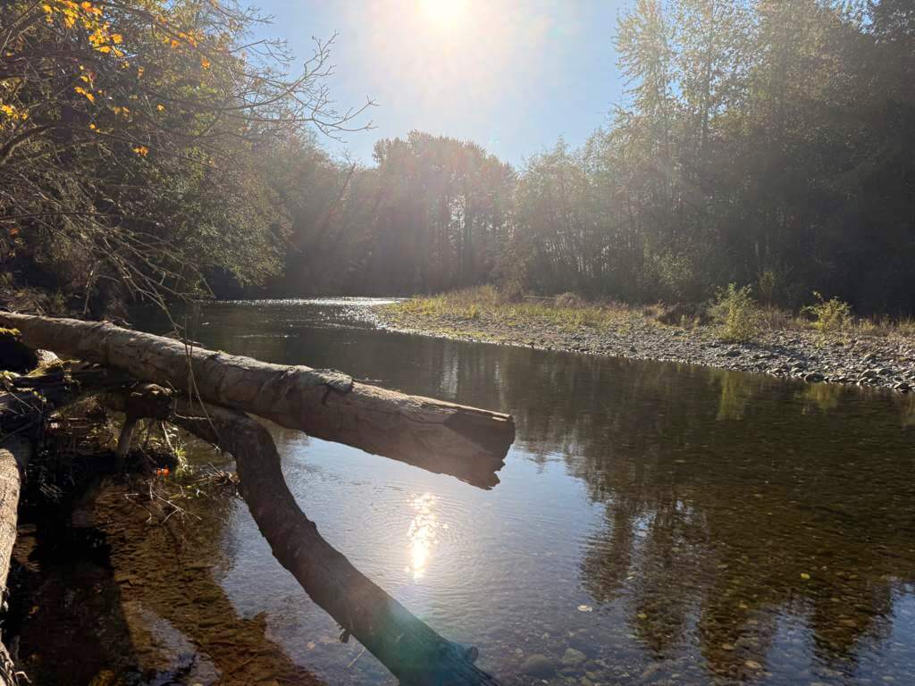 Afternoon sun Afternoon sun on the Dungeness River