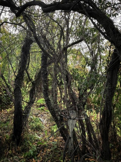 Don't forget to tip the Gatekeeper