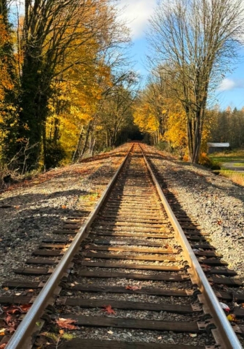 Train tracks on the outskirts of Sedro-Woolley.