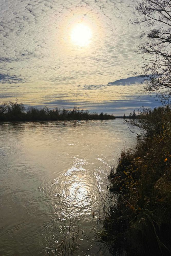 Wiley Slough down river