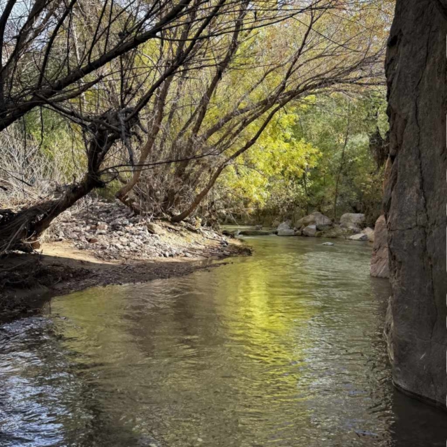 Aravaipa River Reflections Aravaipa River Reflections