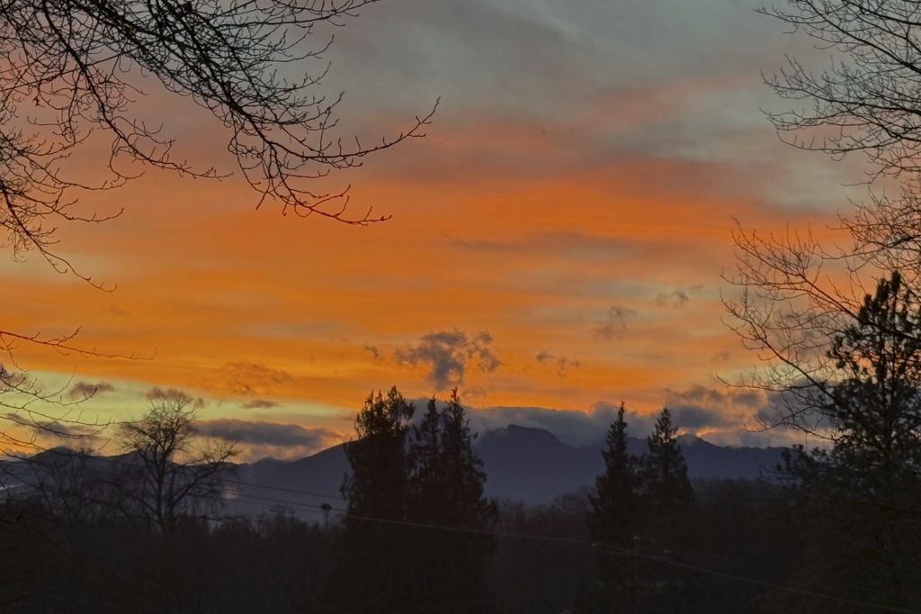 Backyard Sunset - Goodbye 2025!