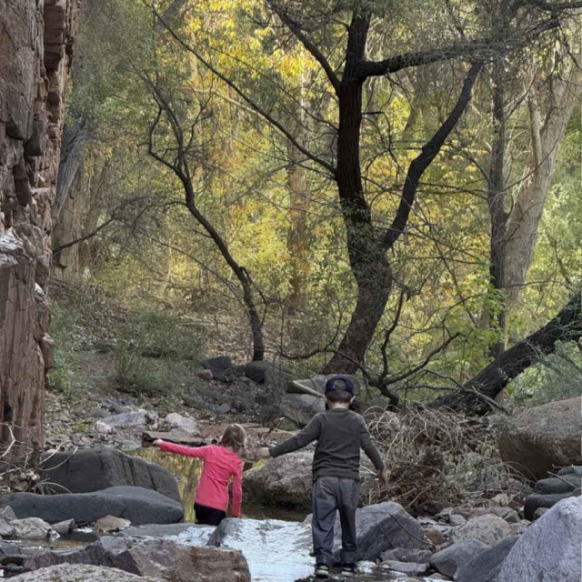 Kids in creek Kids in wilderness creek