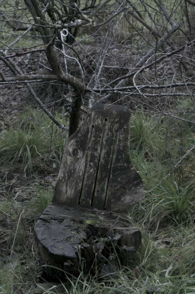 Old chair - it might be time for a new one.