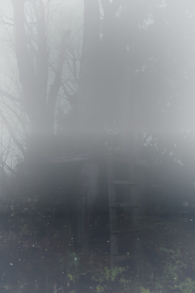 Treehouse in fog